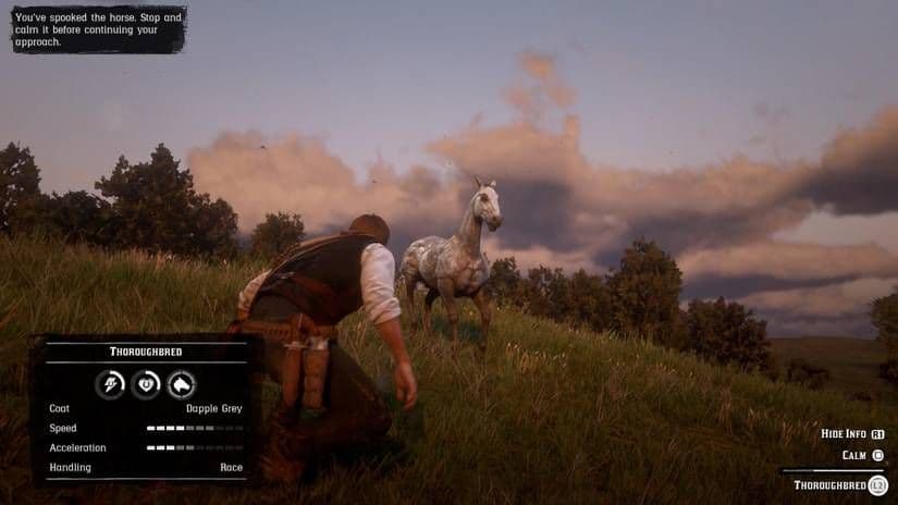 Arthur Morgan approaching and calming a wild horse in Red Dead Redemption 2.
