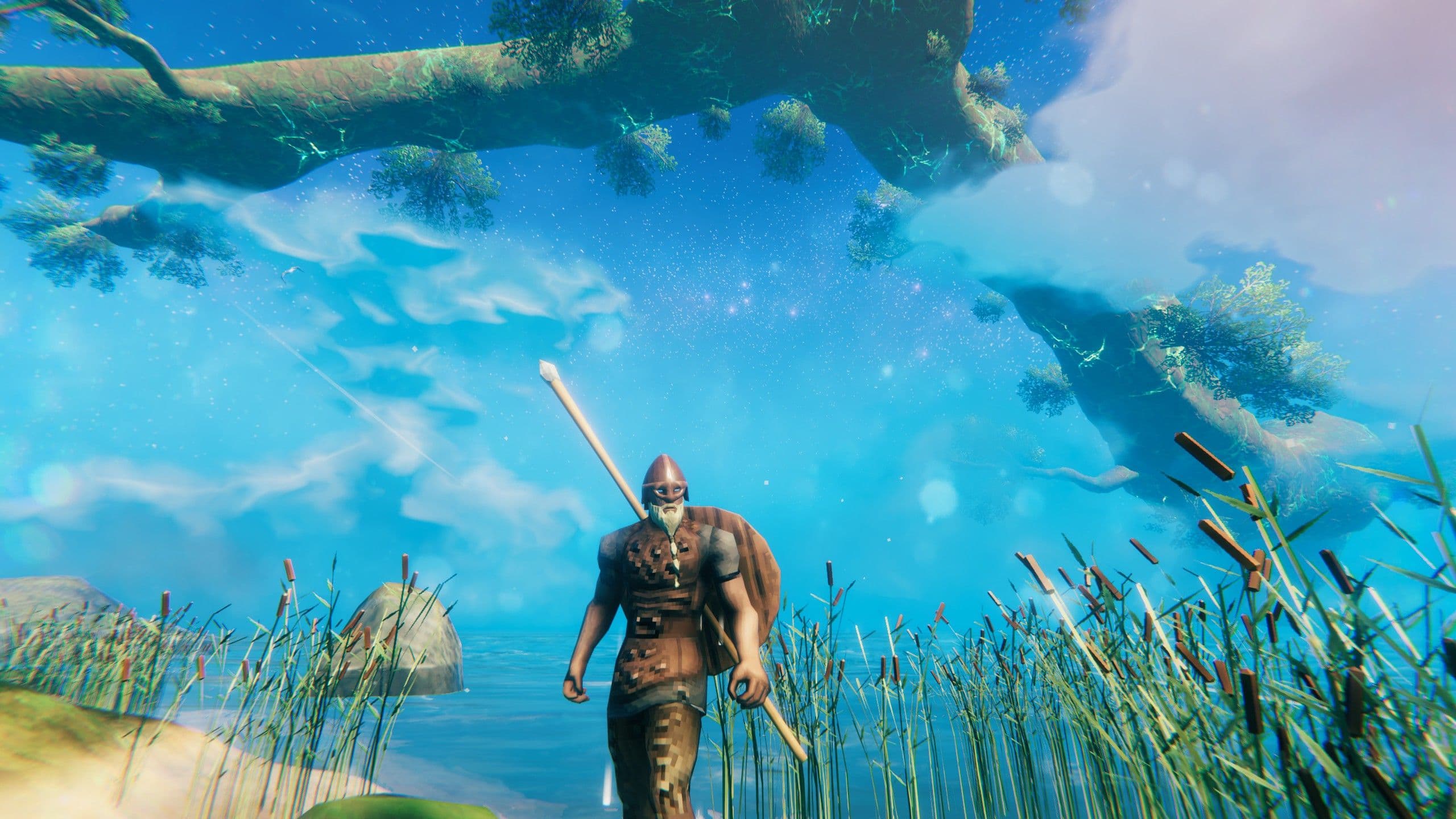 Valheim's lo-fi 32x32 pixel textures allow the game to run smoothly on older hardware and laptops.