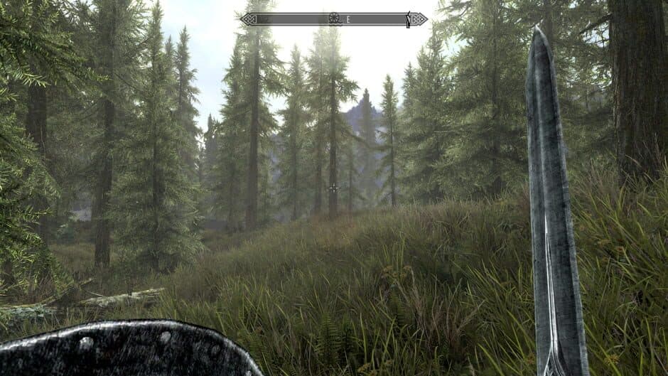 The Elder Scrolls V: Skyrim — 6